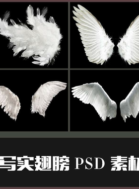 创意写真白色天使翅膀/羽毛PNG/PSD儿童写真摄影后期影楼修图素材