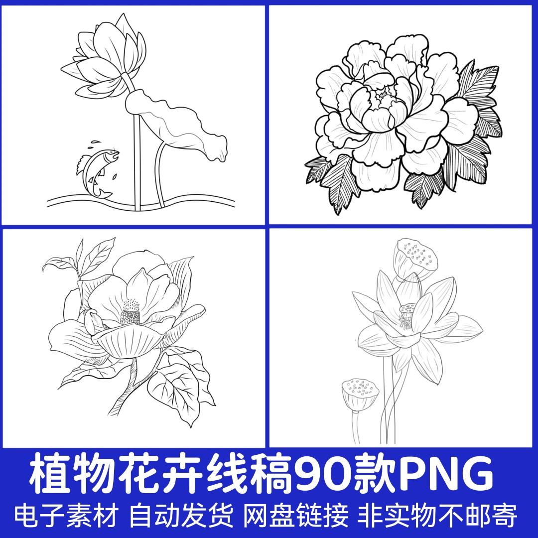 手绘百合植物花卉临摹线稿速写铅笔黑白简笔画素描手稿PNG素材4