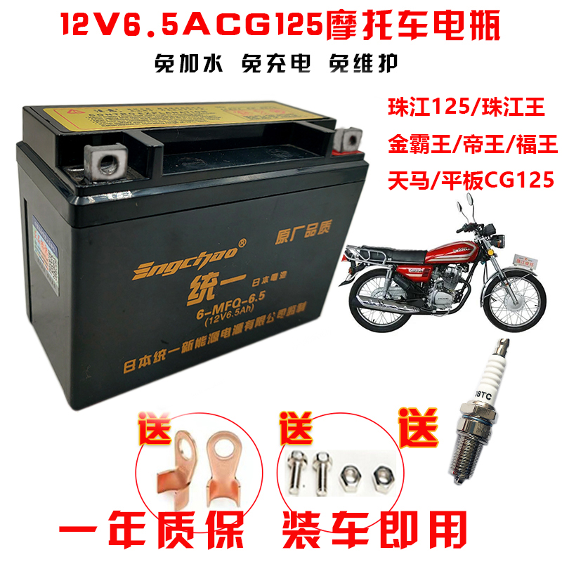 统一YT6.5-BS摩托车电瓶ZJ珠江王金霸王帝王福王天马CG125蓄电池