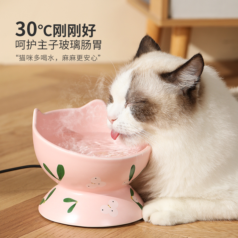 猫咪恒温饮水机宠物加热冬天喝水保温狗狗喝水器自动猫用温水猫碗