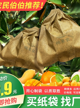 桃子套袋专用袋苹果梨袋子柠檬芒果袋黄桃纸袋柚子防虫防水枇杷袋