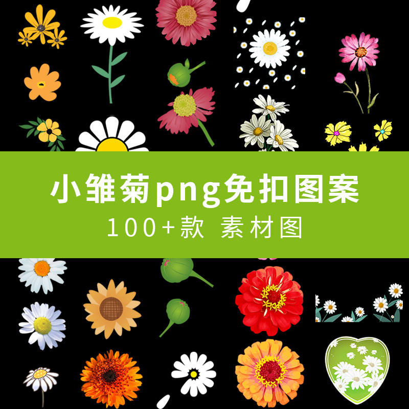 新品手绘花朵小菊花雏菊PNG透明免抠素材滴胶手机壳T恤印花图案