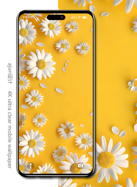 手机壁纸高清4k创意治愈系菊花黄色唯美桌面锁屏屏保图片