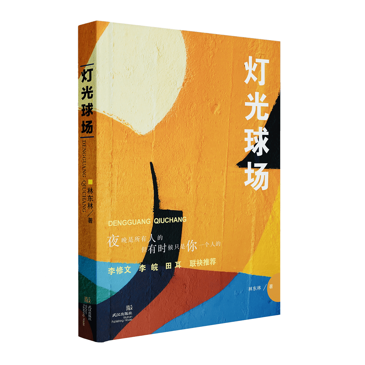 《灯光球场》著名作家李修文、李皖、田耳联袂推荐，林东林新作，一部适合夜晚一个人看的小说集，一条与过去的那些自己的和解之路
