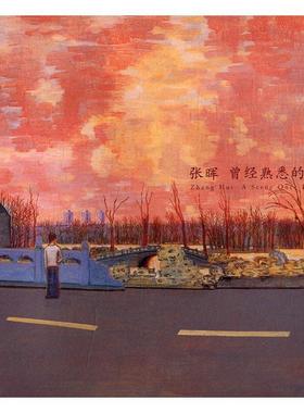 张晖:曾经熟悉的风景张晖 油画风景画作品集中国当代艺术书籍