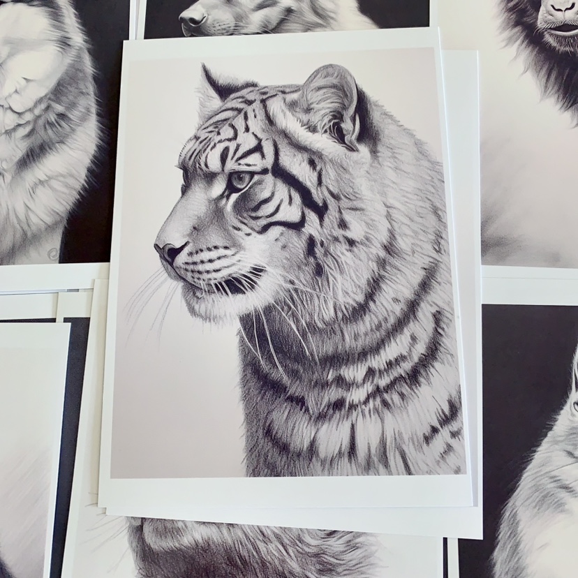 高级素描动物临摹卡儿童创意美术明信片中高级素描练习画稿范图