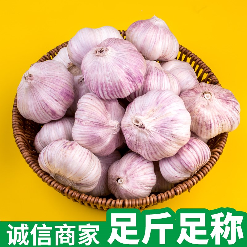 【超低价】农家新鲜大蒜头2/5斤紫白皮河南杞县特产大蒜蒜种低价