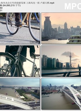 上海风光自行车的创新发展 上海风光 卢浦大桥 高清实拍视频素材