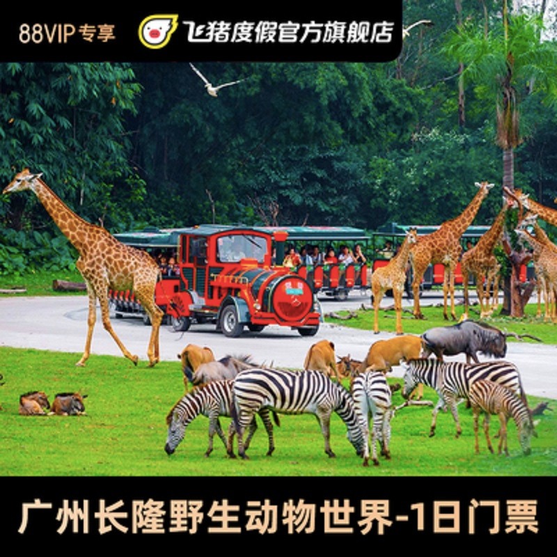 [广州长隆野生动物世界-1日门票（88VIP会员）][广州长隆野生动物世界