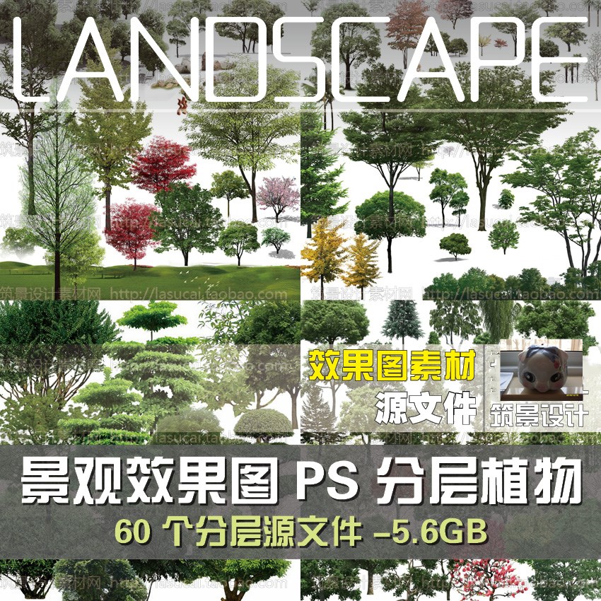 园林景观PSD分层里面效果图真实质感植物乔灌木树绿植被花镜素材