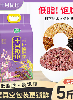 十月稻田五色糙米2.5kg东北杂粮糙米饭黑米红米燕麦均衡搭配5斤