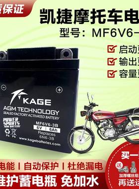 摩托车电瓶6V6AH免维护干电池 适用幸福125电池 二代老本田6V电瓶