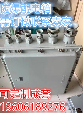国标防爆配电箱照明箱供电箱300X400铸铝可订做其它尺寸安装成套