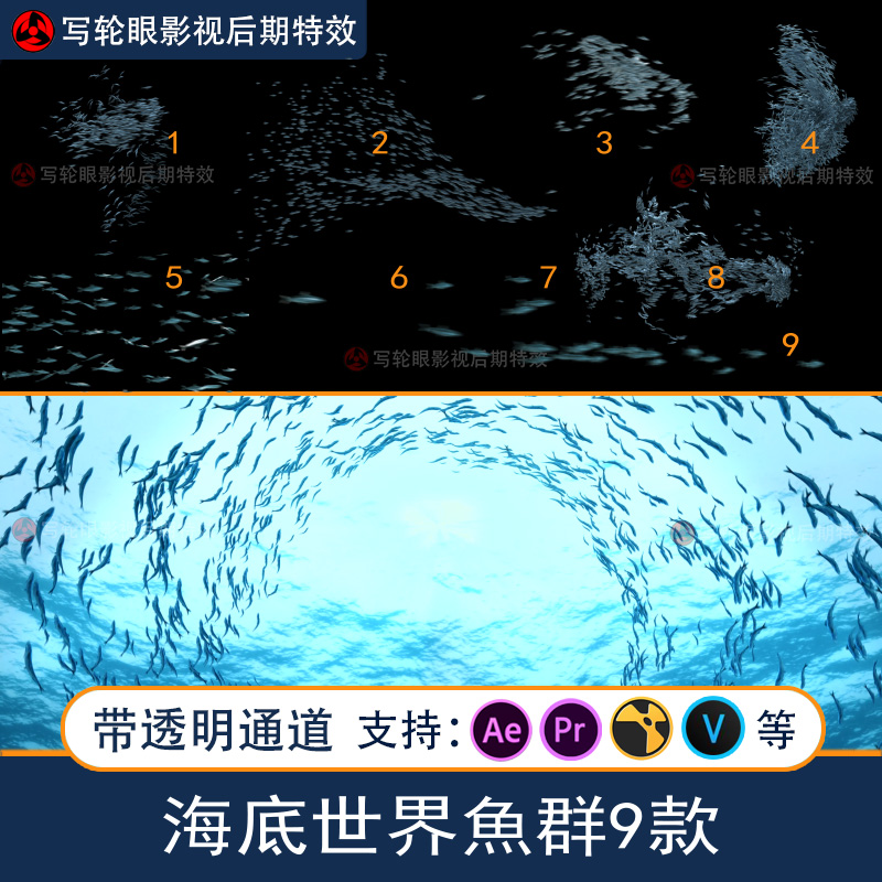 海底世界深海鱼群动画视频素材AE/PR影视特效带透明通道alpha