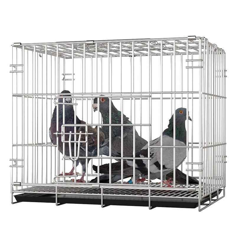 不锈钢鸽子笼养殖笼大室外二层鸟笼大全大空间鸽子笼子特大专用