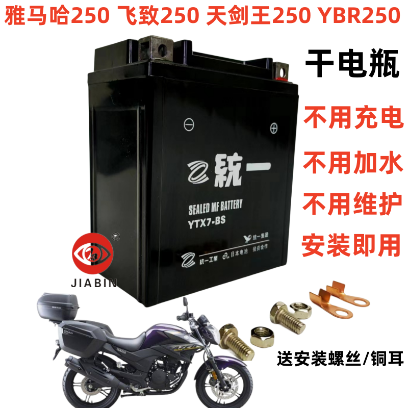 适用雅马哈250飞致250天剑王250YBR250摩托车电瓶12v统一干电池