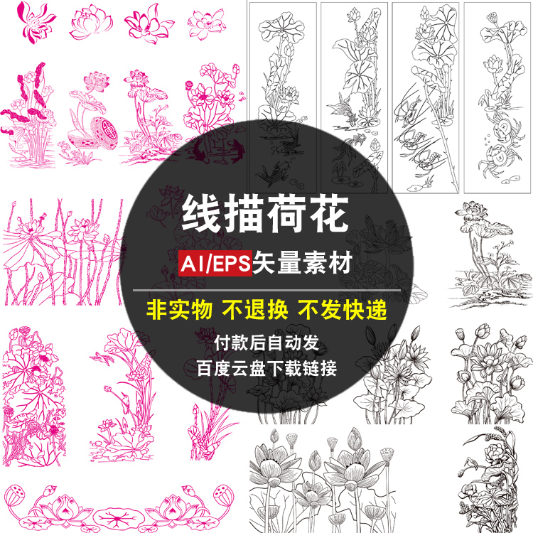 线描荷花AI矢量素材中国风传统花卉中式速写线条莲花白描莲叶图片