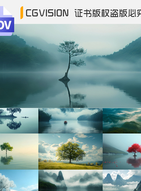 意境山水湖面大树山水风景禅意写意云雾延时自然航拍风景视频素材