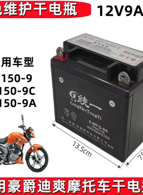 适用豪爵迪爽HJ150-9A/C男士摩托车免维护蓄电池12V伏9安干电瓶