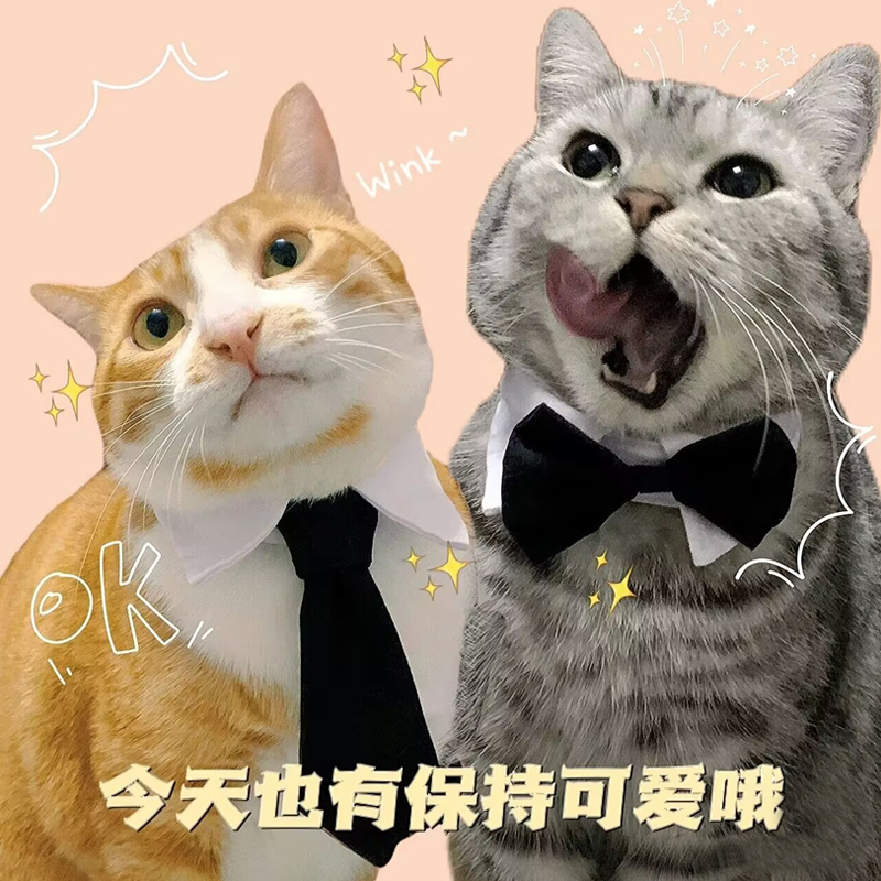 猫咪领结猫领带西装宠物项圈绅士小狗猫猫小猫学士服公猫蝴蝶结