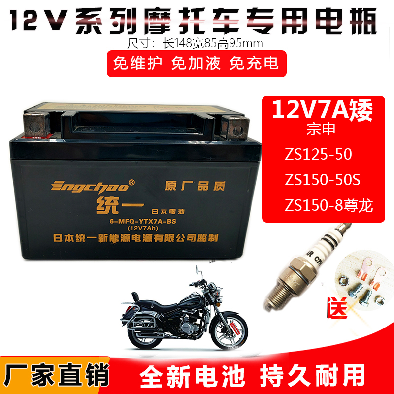 适用宗申ZS125-50/150-50S追求太子摩托车电瓶ZS150-8尊龙干电池