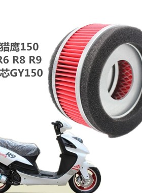 踏板摩托车配件雷克猎鹰150 R5 R6 R8 R9 空滤芯GY150 空气滤清器
