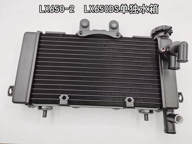 适用摩托车隆鑫VOGE无极机车LX650-2 LX650DS散热器冷却水箱