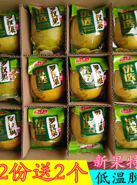 黄金罗汉果干果大果泡茶正品广西桂林低温脱水冻干独立包装罗汉果