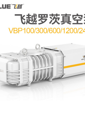 value飞越罗茨真空泵VBP100/300/600/1200/2400罗茨泵机组系统