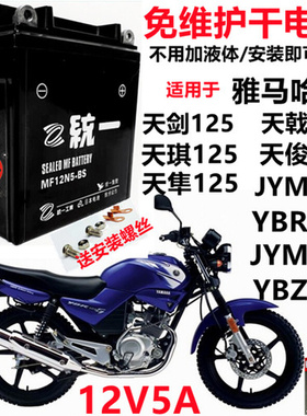 雅马哈125天剑天戟YBR/JYM125摩托车统一免维护蓄电池12V5A干电瓶