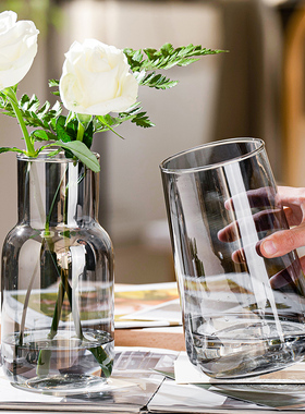 北欧ins风简约玻璃花瓶水培鲜花插花小花瓶客厅餐桌水养创意摆件