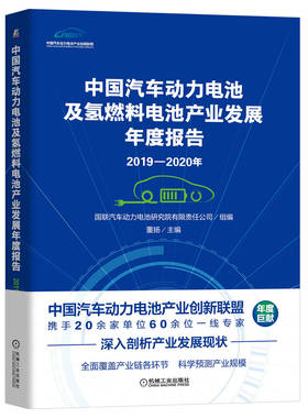 2019-2020年中国汽车动力电池及氢燃料电池产业发展年度报告 董扬 国内外新能源汽车动力电池和氢燃料电池产业发展书