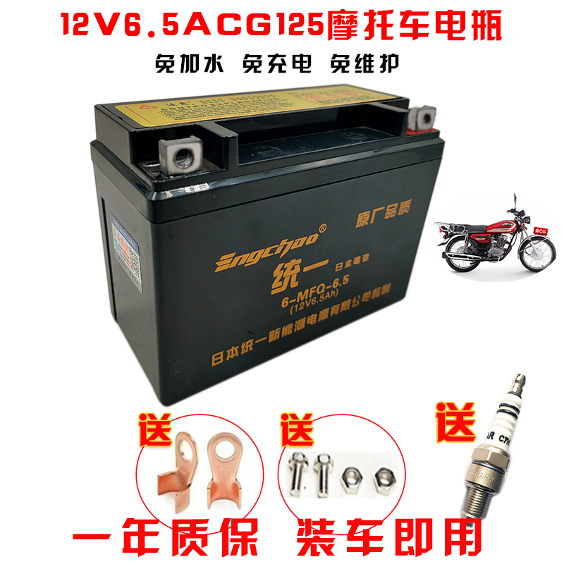 摩托车干电瓶珠江ZJ125珠江王金霸王帝王福王天马普通CG125蓄电池