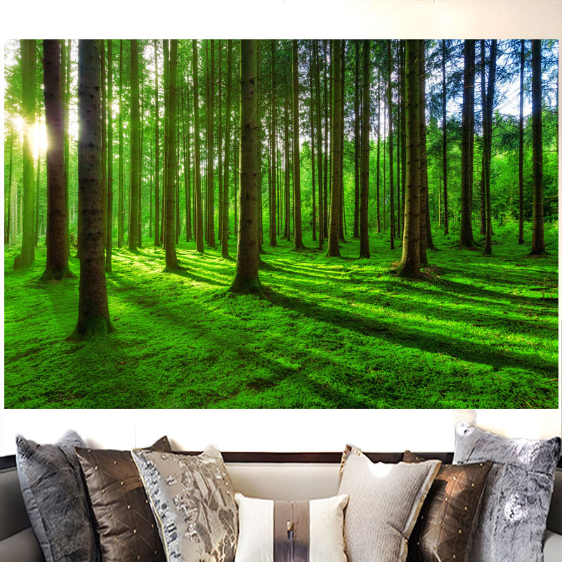 阳光森林自然风景海报贴纸画绿色树林护眼山水画客厅办公室背景画