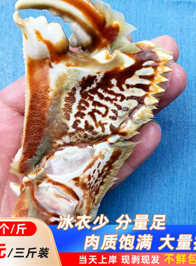 【超大号蟹钳三斤】元宝蟹钳面包蟹脚净重2.3斤