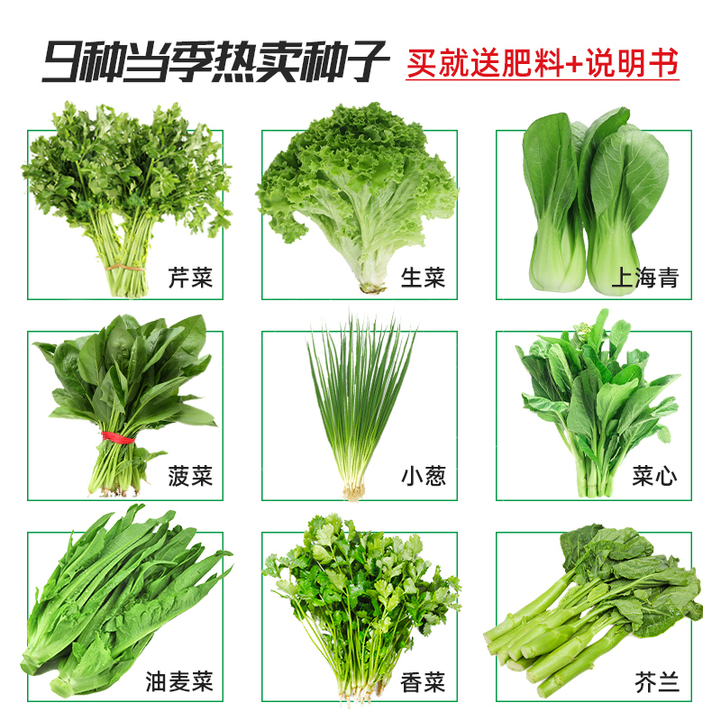 四季蔬菜种子大全青菜疏菜籽种孑种籽适合冬天种的秋天菜种菜籽菜