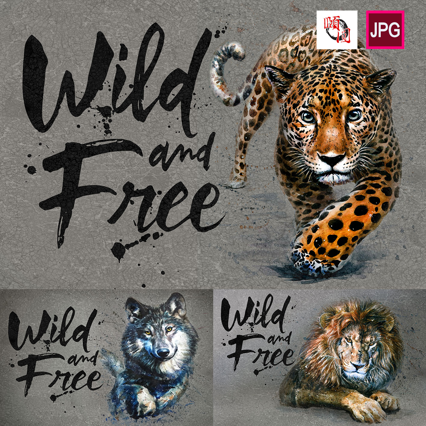 几张豹子狮子狼水墨水彩动物插画图片设计素材