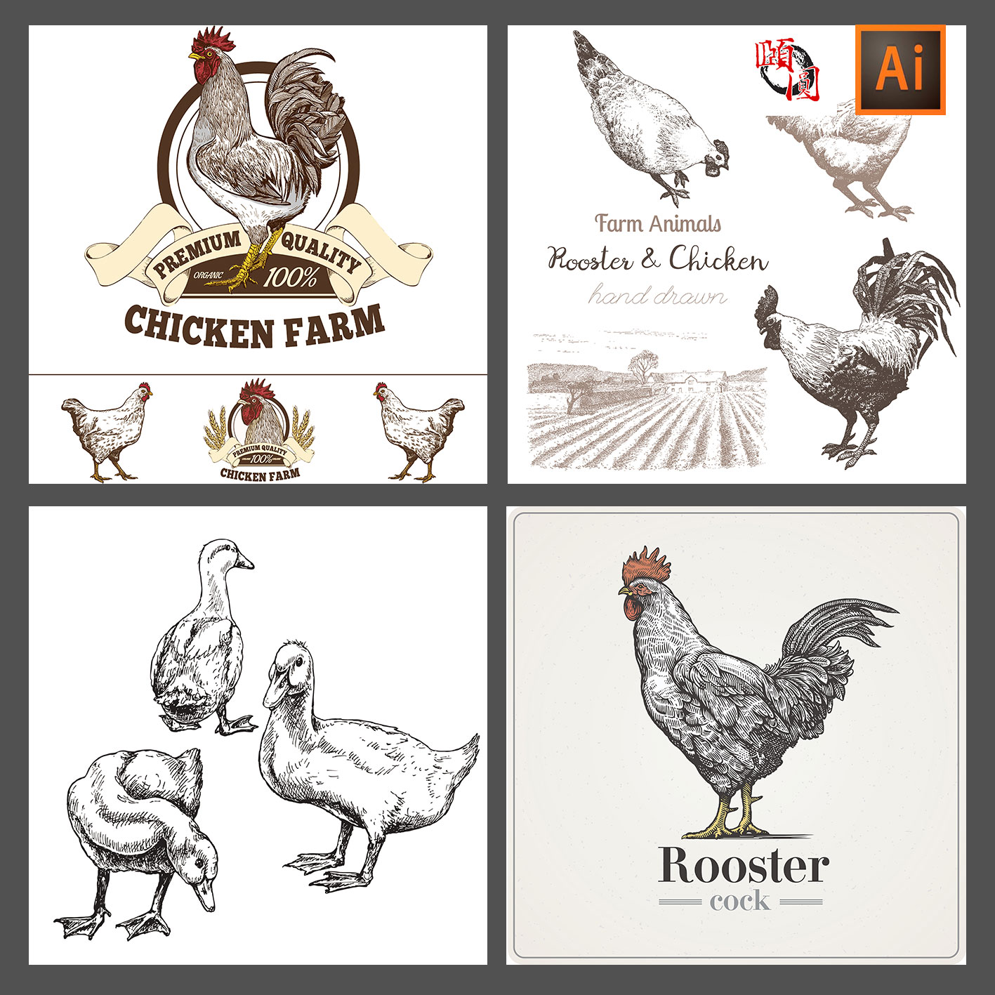 手绘线描素描线条公鸡母鸡鸭子土鸡插画插图AI矢量设计素材