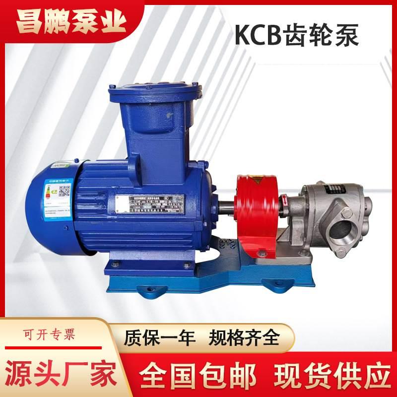 KCB55不锈齿轮泵 豆浆豆汁食品卫生泵钢 电动抽油泵白酒转子泵