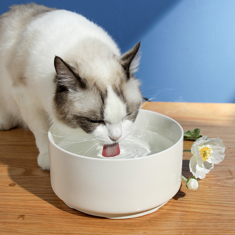 猫碗恒温加热陶瓷碗宠物狗碗冬季猫咪猫食盆饮水机狗喝水宠物用品