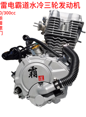 隆鑫发动机210260300水冷雷电霸道原厂全新三轮摩托车发动机总成