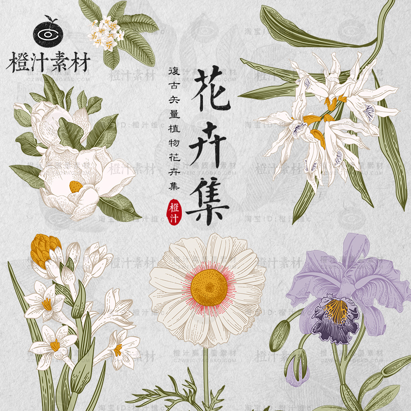 手绘古典复古烫金植物花卉花朵插画AI矢量设计素材PNG免抠图片