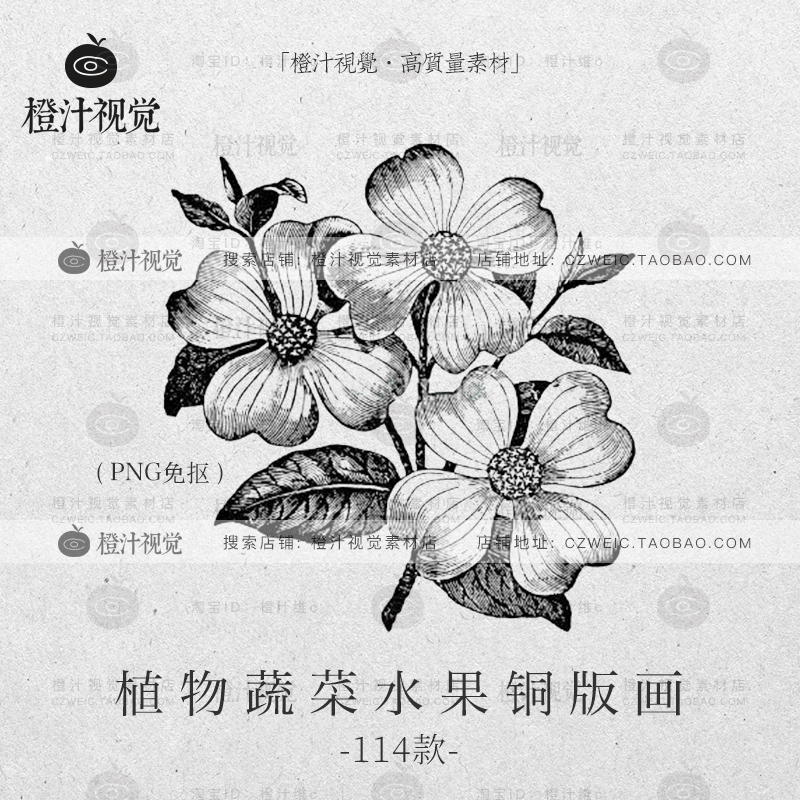 植物蔬菜水果花朵铜版画手绘线稿黑白素描PNG包装平面设计素材