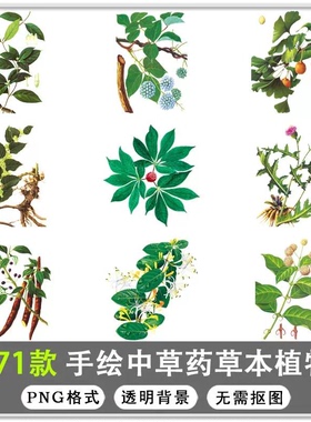 371款卡通手绘线描草本植物中医养生草药中药包装设计PNG免扣素材