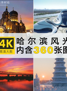 4K高清哈尔滨风景大图冰雪世界冰雕中央大街摄影壁纸图片JPG素材