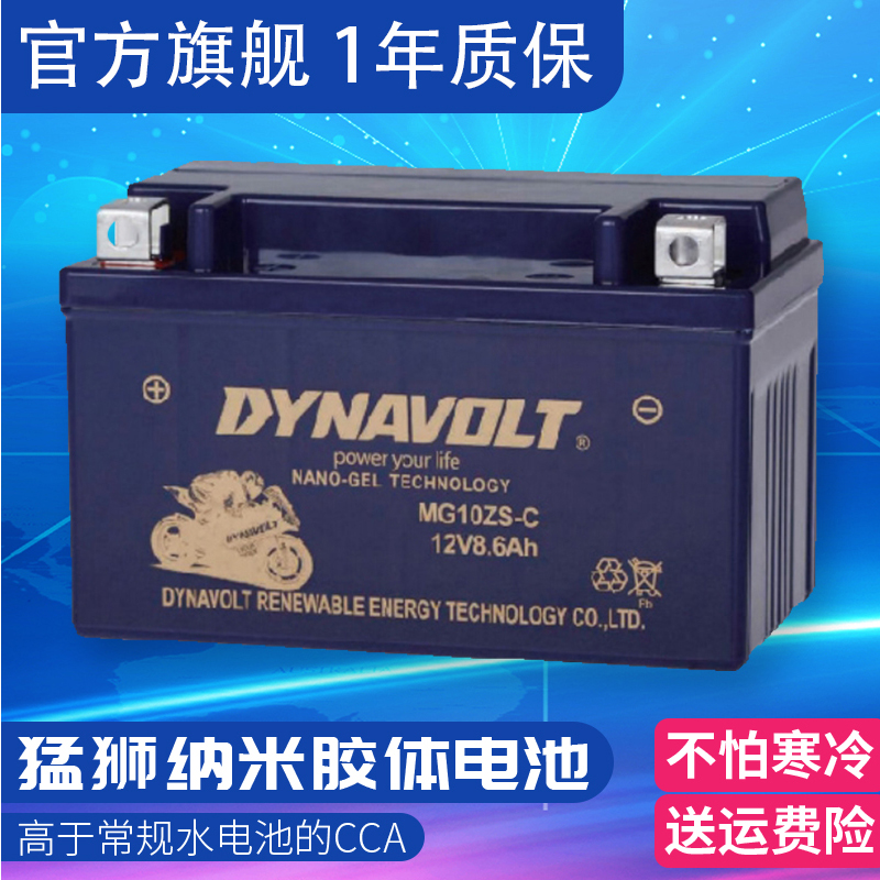 猛狮电池隆鑫无极500R/AC/DS 650DS 300R/RR/AC/GY摩托车蓄电池