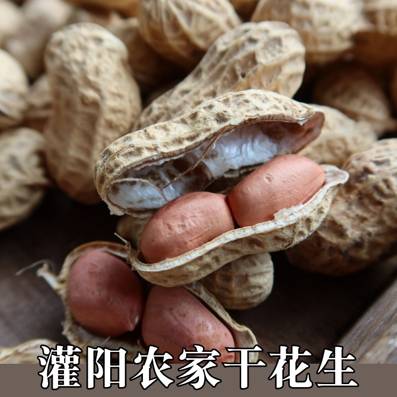 生豆灌阳农家花生小子2023带壳自种原味桂林全州粉皮花生米