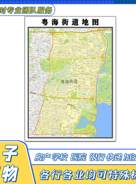 粤海街道地图1.1米广东省深圳市交通行政区域颜色划分街道贴图