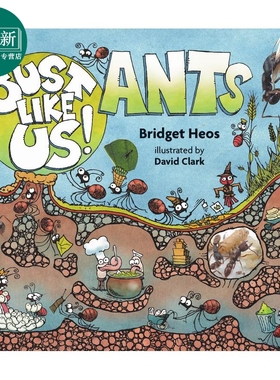 预售 蚂蚁的世界 Just Like Us! Ants 英文原版 儿童科普绘本 动物知识百科图画书 有趣真实的科学读本 童书儿童读物 又日新