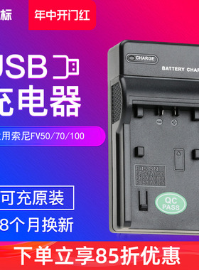 沣标NP-FV50充电器USB座充适用sony FH50 FH70 FH100 FV70 FV100摄像机AX700 AX60 AX45索尼FV90 DV相机电池